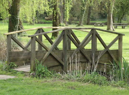 Wooden bridge in green field and willow tree
